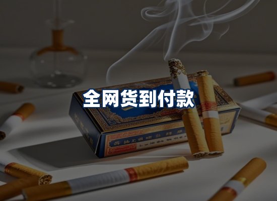 专业团队办公环境